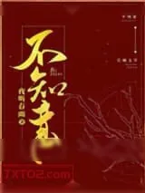 《不知意》小说封面