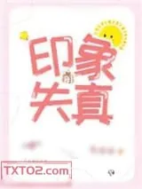 《印象失真》小说封面