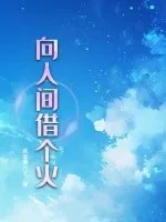 《向人间借个火》小说封面
