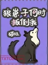 《狼崽子何时扳倒我》小说封面