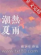 《潮热夏雨》小说封面