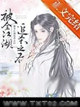 《被全江湖追杀之后》小说封面