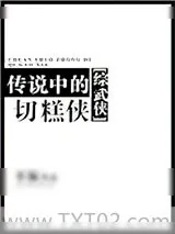 《传说中的切糕侠[综武侠]》小说封面