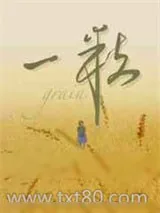 《一粒》小说封面