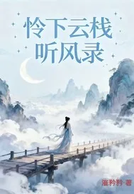 《怜下云栈听风录》小说封面