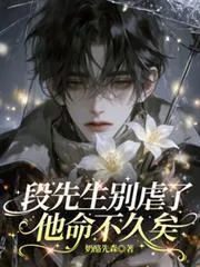 《段先生别虐了，他命不久矣》小说封面