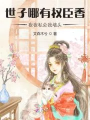 《世子哪有权臣香，夜夜私会我墙头》小说封面