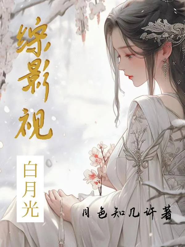 《综影视，白月光》小说封面