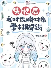 《失忆后,我对攻略对象拳打脚踢》小说封面