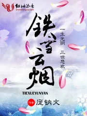《铁雪云烟》小说封面