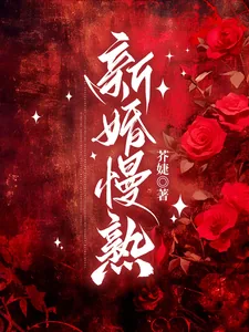《新婚慢熟》小说封面