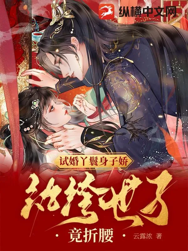 《试婚丫鬟身子娇，纨绔世子竟折腰》小说封面
