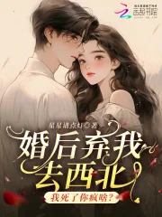 《婚后弃我去西北，我死了你疯啥？》小说封面