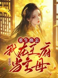 《重生换亲：我在王府当主母》小说封面