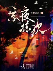 《京夜掠欢》小说封面