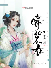《帝心不在》小说封面