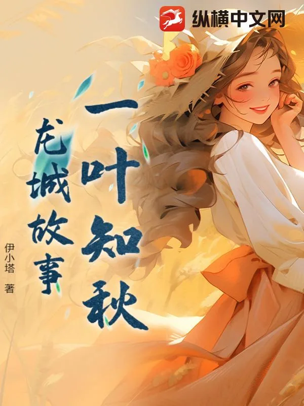 《一叶知秋：龙城故事》小说封面