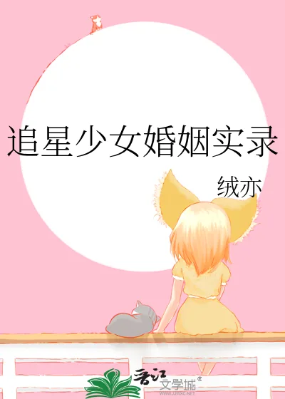 《追星少女婚姻实录》小说封面