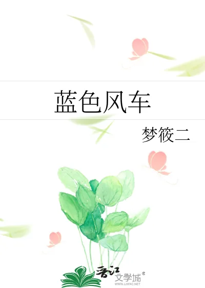 《蓝色风车》小说封面