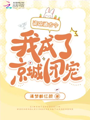 《瓷碗通古今，我成了京城团宠》小说封面