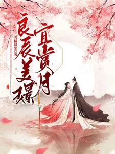 《良辰美璟,宜赏月》小说封面