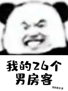 《我的26个男房客》小说封面