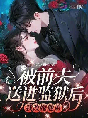 《被前夫送进监狱后，我改嫁他弟》小说封面