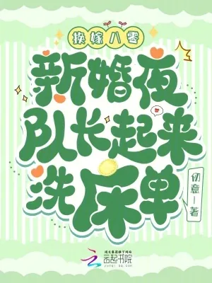《换嫁八零：新婚夜队长起来洗床单》小说封面