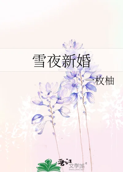 《雪夜新婚》小说封面
