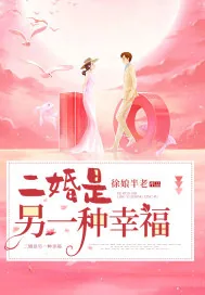 《二婚是另一种幸福》小说封面