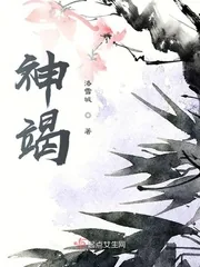 《不逝韶华》小说封面
