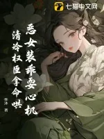 《恶女装乖耍心机，清冷权臣拿命哄》小说封面