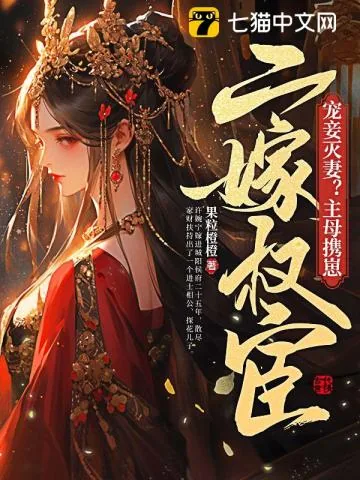 《宠妾灭妻？主母携崽二嫁权宦》小说封面