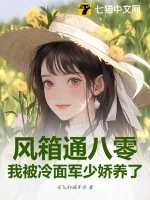 《风箱通八零，我被冷面军少娇养了》小说封面