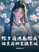 《除夕夜冻死街头，归来后她名满京城》小说封面