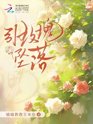 《引玫瑰坠落》小说封面