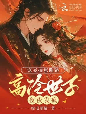 《宠妾揣崽跑路，高冷世子夜夜发疯》小说封面