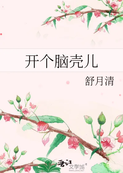 《开个脑壳儿》小说封面