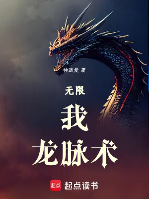 《无限：我，龙脉术！》小说封面