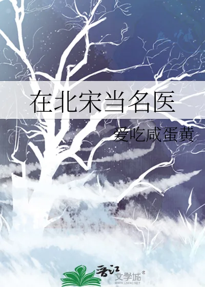 《在北宋当名医》小说封面