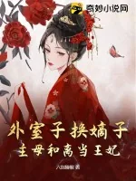 《外室子换嫡子？主母和离当王妃！》小说封面