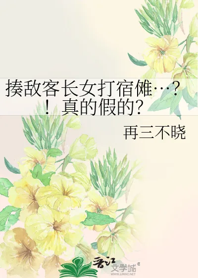 《揍敌客长女打宿傩…?!真的假的?》小说封面