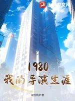 《1980我的导演生涯》小说封面