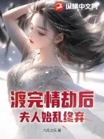 《渡完情劫后，夫人始乱终弃》小说封面