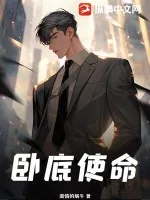 《卧底使命》小说封面