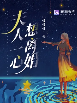 《夫人一心想离婚》小说封面