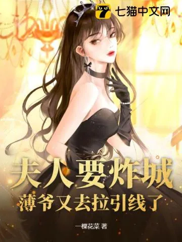 《夫人要炸城？薄爷又去拉引线了》小说封面