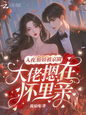 《入夜,娇娇被京圈大佬摁在怀里亲》小说封面