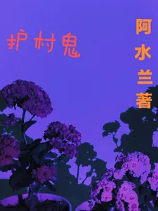 《护村鬼》小说封面