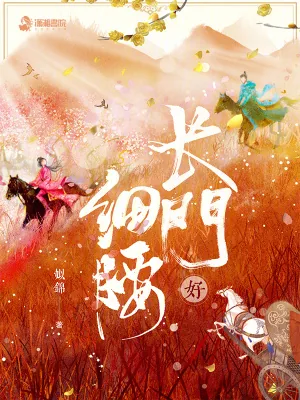 《长门好细腰》小说封面